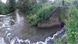 Brighton scientists to lead development of DNA-based “forensic” tool to trace water pollution