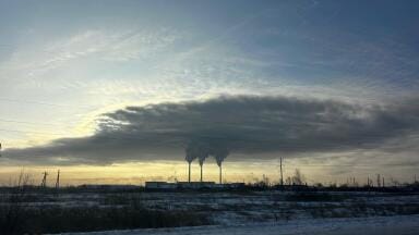 The rise of voluntary emissions reporting: what can it tell us?