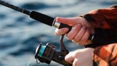 Fisheries owner nets fine for violating environmental legislation