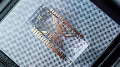 Gas analysis condensed to a single microfluidic chip