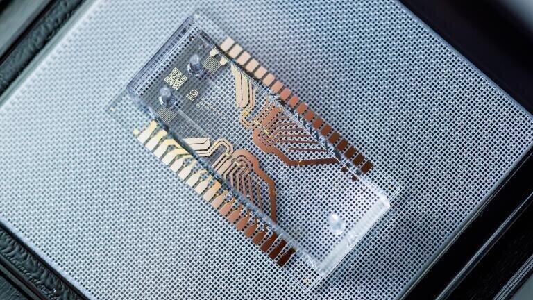 Gas analysis condensed to a single microfluidic chip