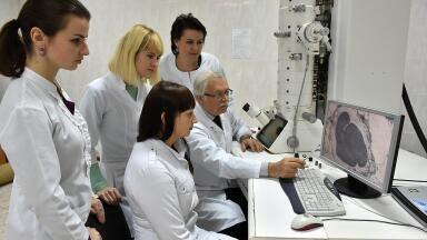 Using multidimensional electron microscopy in environmental laboratories