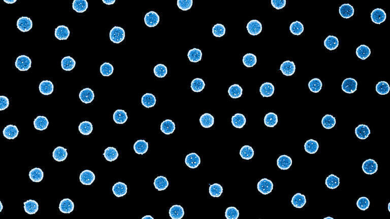 The new hydrogen sensor from Chalmers University of Technology, Sweden, is based on tiny particles of the metal platinum. The particles act as both catalysts and sensors at the same time, and the sensor is well suited to humid environments.
Image: Chalmers University of Technology | Athanasios Theodoridis