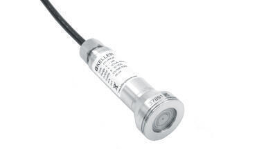 Level probe for reliable, long-term measurement in aggressive environments