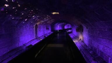 How to build trust in real-time sewer control