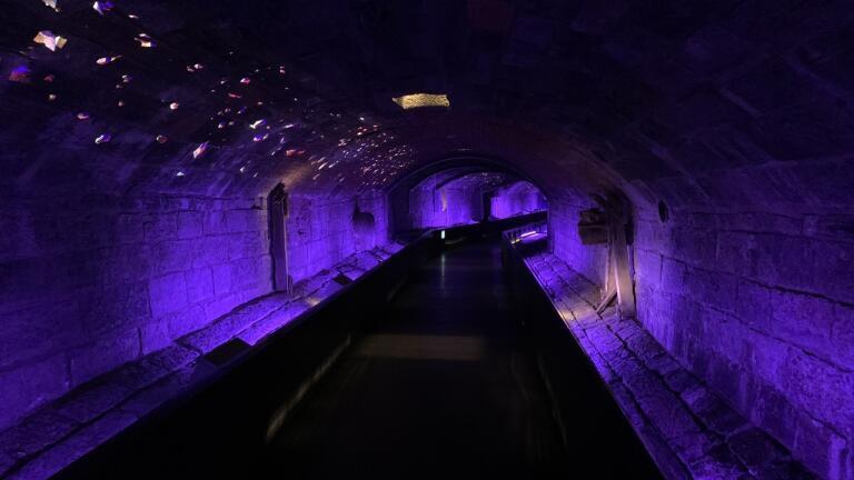 How to build trust in real-time sewer control
