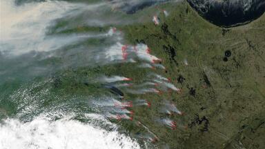 Rethinking the value of Earth science information in environmental monitoring