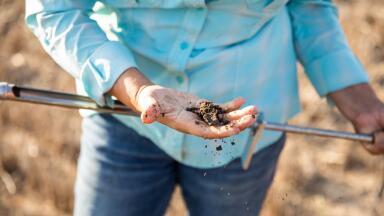 Nutrient credits and the monitoring challenge behind Natural England’s mitigation scheme