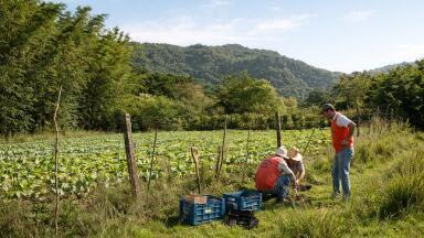 Sharper soil moisture mapping: combining microwave sensing with vegetation structure