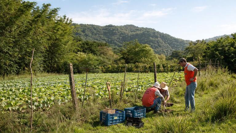 更精準的土壤濕度繪製：結合微波感測與植被結構 (Sharper soil moisture mapping: combining microwave sensing with vegetation structure)