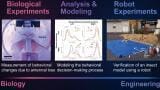 Fault-tolerant gas leak localisation using robotics for emergency response