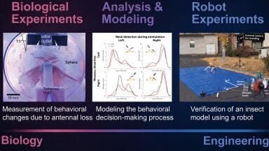 Fault-tolerant gas leak localisation using robotics for emergency response