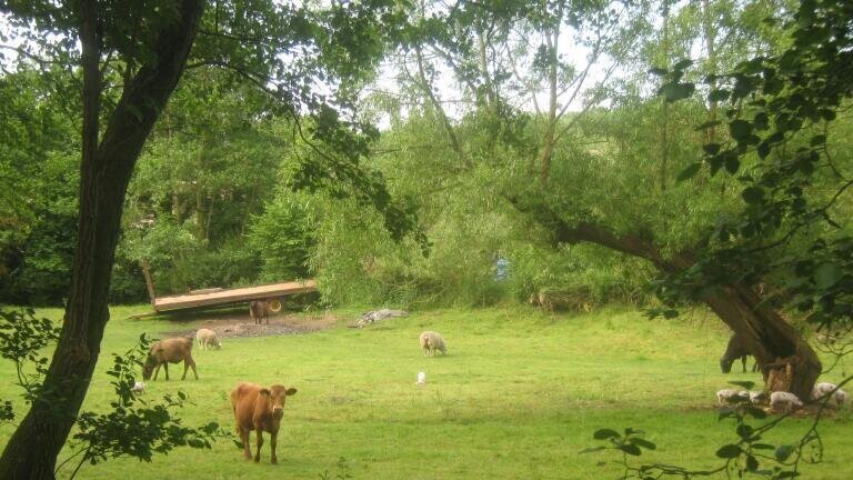 Uncounted greenhouse gas emissions from livestock farms
