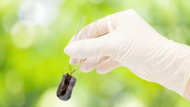 Chinese study demonstrates faster soil nitrogen testing workflows