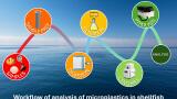 Quantitative analysis of microplastics in shellfish using pyrolysis GCMS