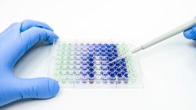 Labmate Online