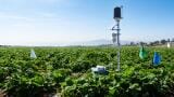 Can on-farm experiments turn fields into environmental monitoring networks?