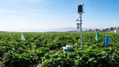 Can on-farm experiments turn fields into environmental monitoring networks?