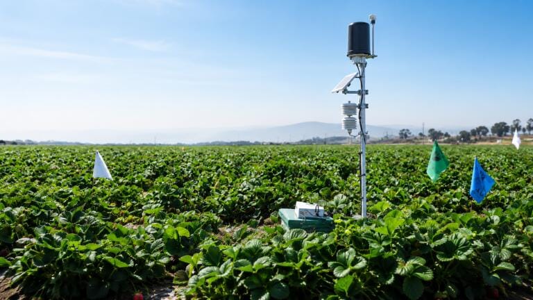 Can on-farm experiments turn fields into environmental monitoring networks?