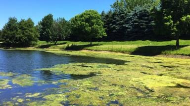 The next leap in water quality depends on collaboration