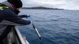 Low-cost autonomous sensors aim to close the gap in ocean monitoring data