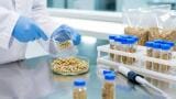 EU recommends feed monitoring for four PFAS compounds through 2028