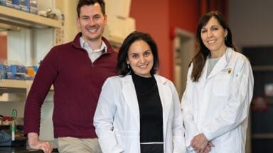 Labmate Online