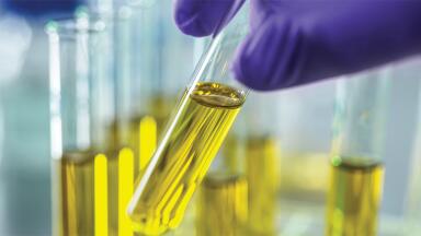 Labmate Online