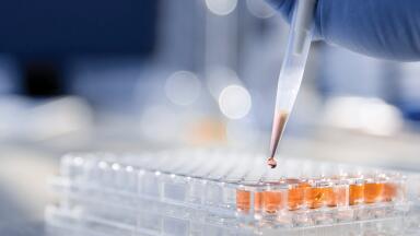 Labmate Online