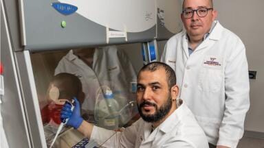 Labmate Online