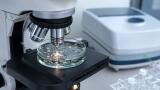 Raman and fluorescence together close a gap in microplastics detection
