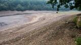 Rising drought pressure pushes water companies toward predictive risk management
