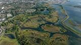 New 10‑metre satellite mapping sharpens monitoring of urban wetlands