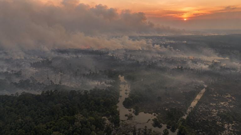Indonesia’s peat fires expose gaps in satellite monitoring and ASEAN’s haze treaty
