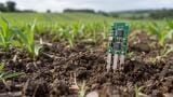 Printed electronic sensor holds steady in soil for months without recalibration, study finds
