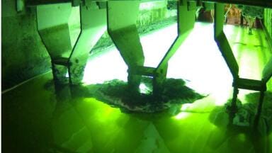 Remote cameras help ensure wastewater UV disinfection compliance