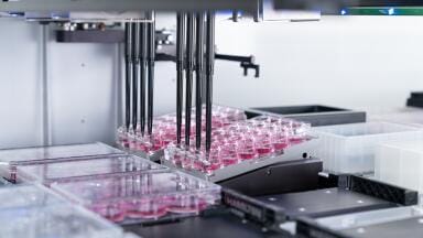 Labmate Online