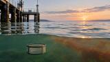 Predator chemical cues give weeks of warning before toxic algal blooms