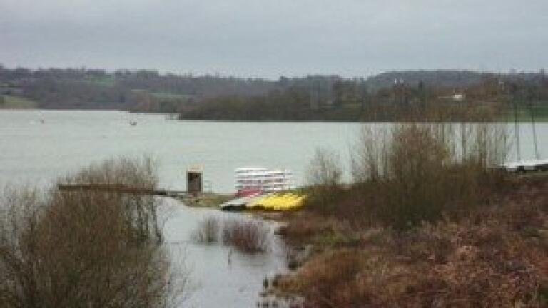 Environment Agency investigates water quality after fish deaths