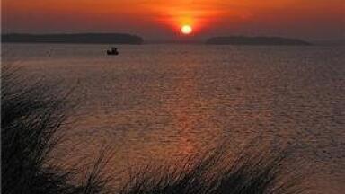 Water quality improves at south-west beaches