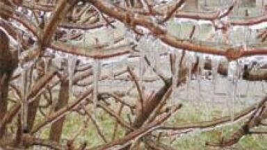 Freezing Rain Detectors Added to Sensor Line-Up