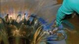 Environmental Monitoring and Consultancy