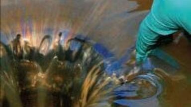 Environmental Monitoring and Consultancy