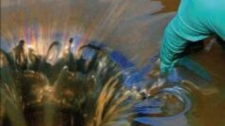 Environmental Monitoring and Consultancy