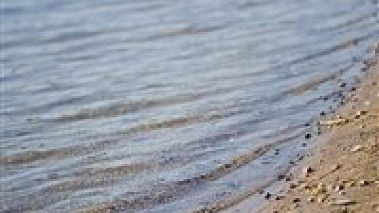 Abattoir fined for damaging water quality