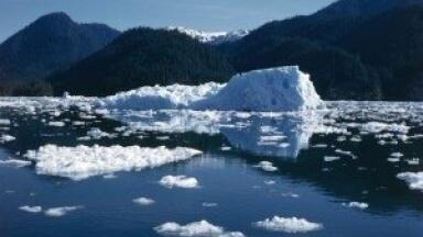 Environmental analysis news: Arctic ice melt 'could cost billions'