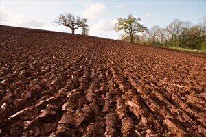 Government launches pesticides consultation to improve soil quality