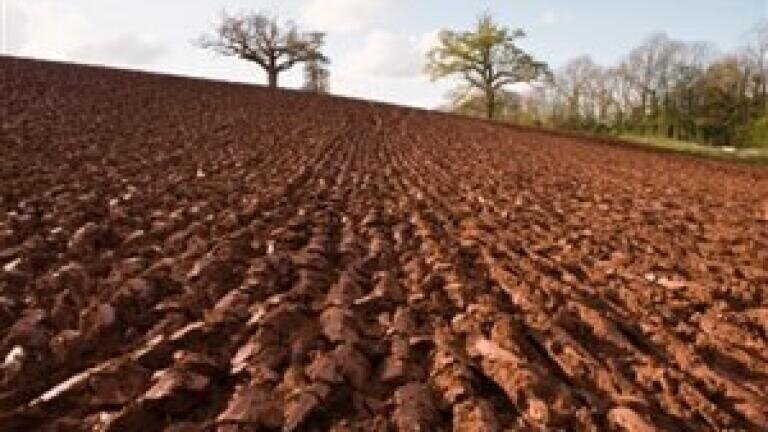 Government launches pesticides consultation to improve soil quality
