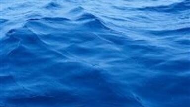 Recommendations to improve Baltic Sea water quality produced