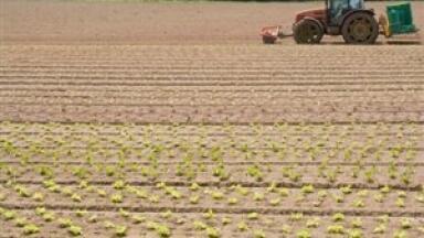 Environmental analysis news: Innovation 'key to future of agriculture'